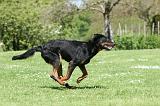 BEAUCERON 839